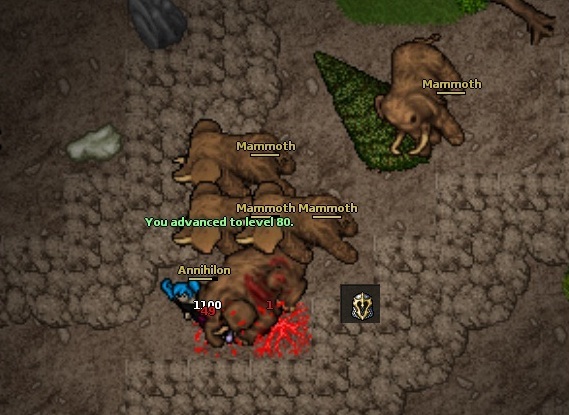 lv 80 and loot