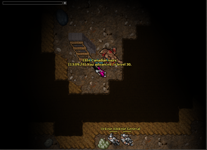 Lv 30 !